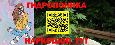 стафф Норильск