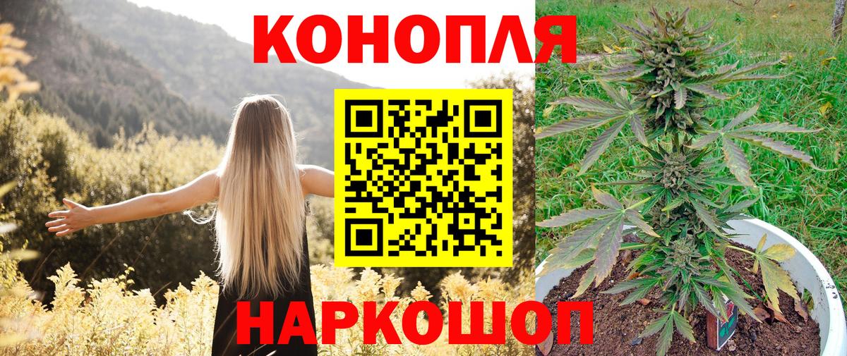 Мытищи  Конопля White Widow  Вход с VPN  Марихуана индика  Конопля ГИДРОПОН 